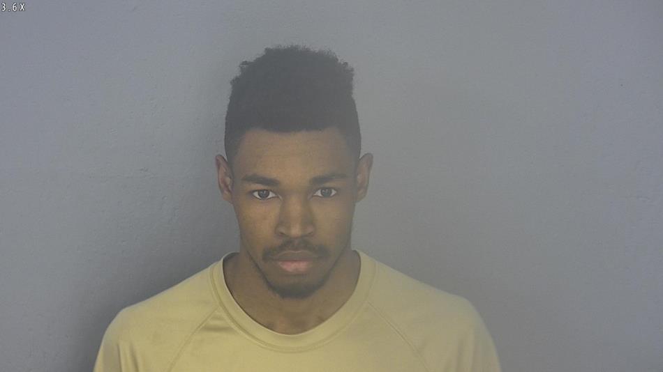 Arrest photo of ROBERT NELSON