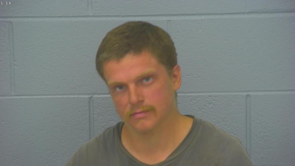 Arrest photo of ROBERT SHYTLE