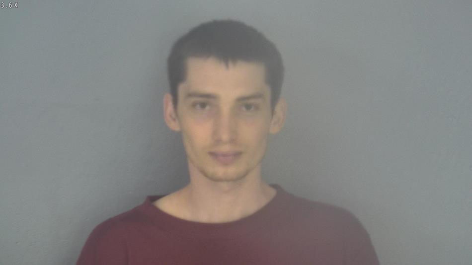 Arrest photo of ROBIN ANDERSON