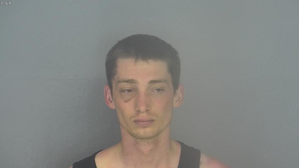 Arrest photo of ROBIN ANDERSON