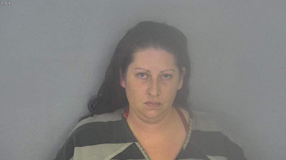 Arrest photo of ROCHELLE NIXDORF