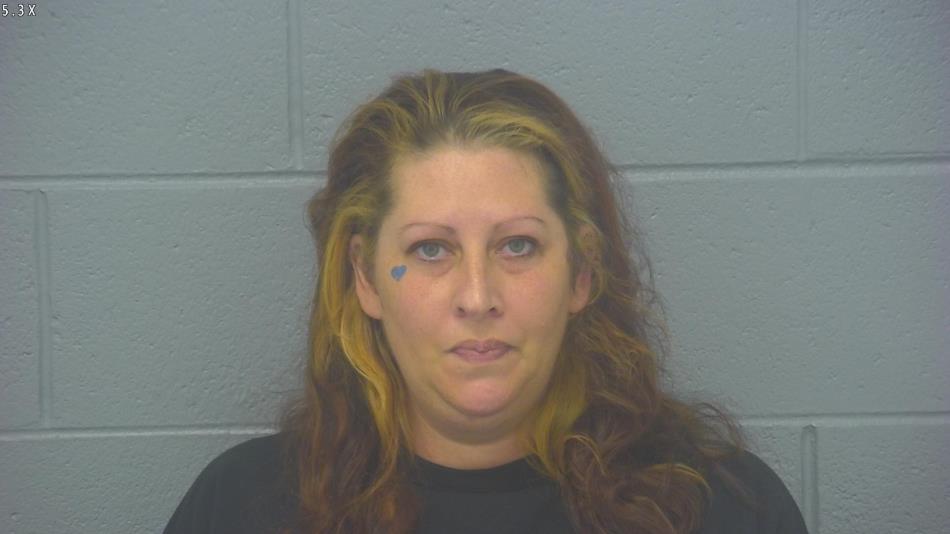 Arrest photo of ROCHELLE NIXDORF