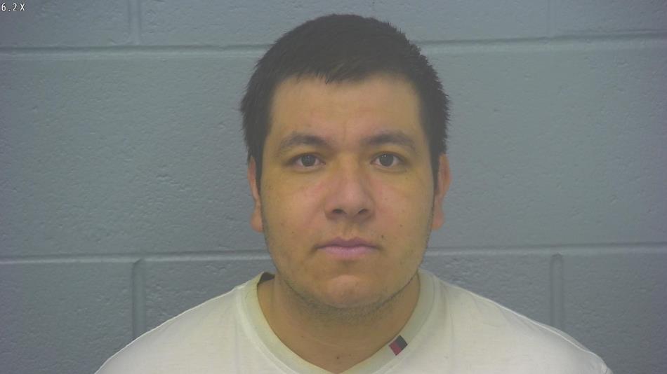 Arrest photo of RODRIGO DIAZ