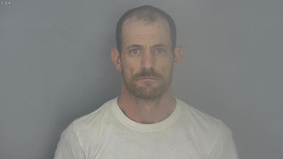 Arrest photo of ROGER HICKS