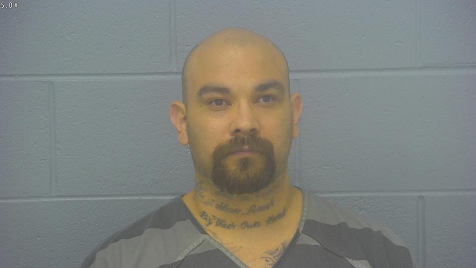 Arrest photo of ROLAND PALACIOS