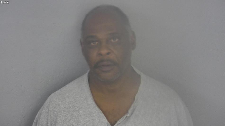 Arrest photo of RONALD ANDERSON