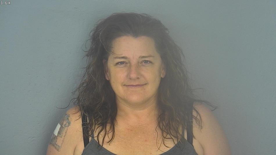 Arrest photo of RONI ASHER
