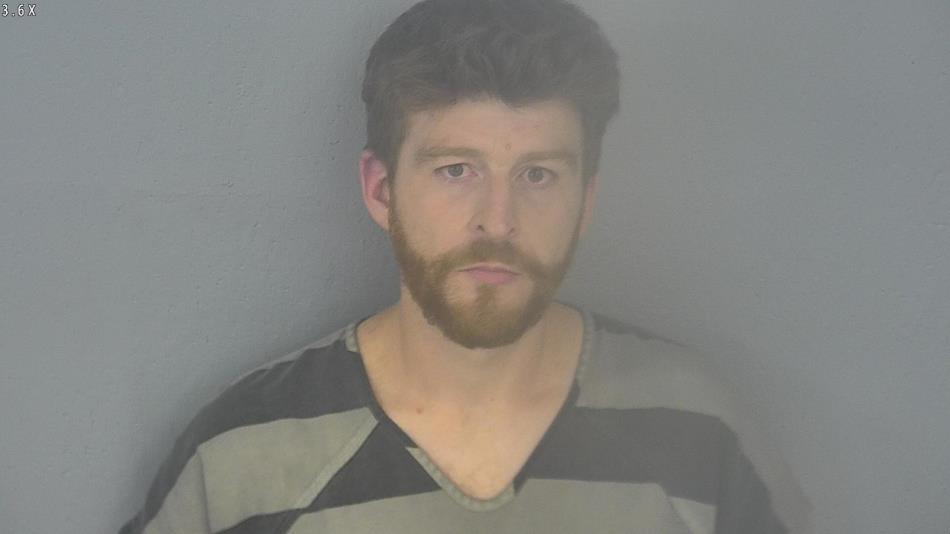 Arrest photo of RONNIE HIGGINS