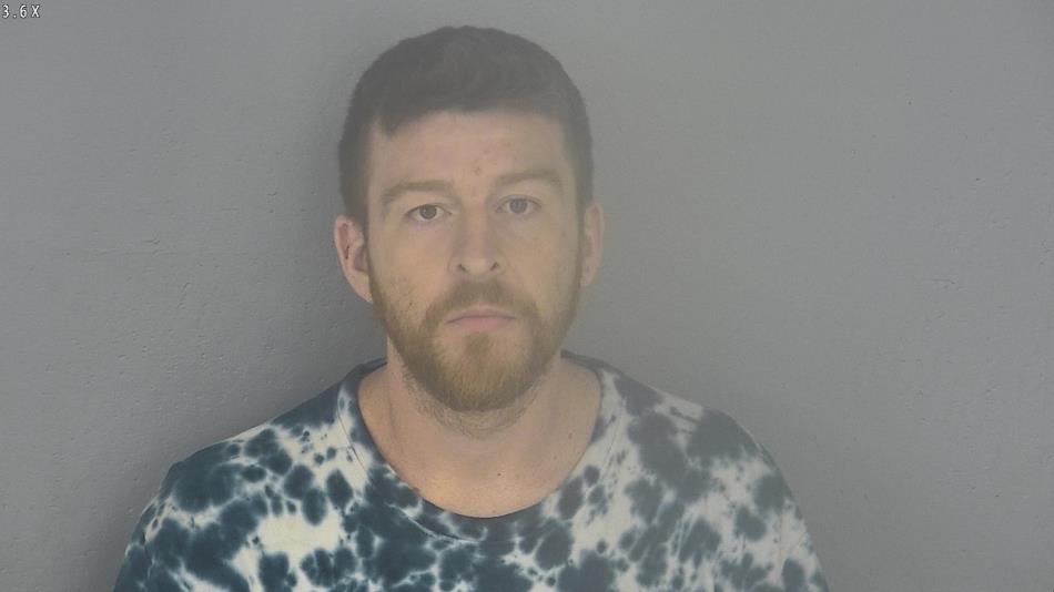 Arrest photo of RONNIE HIGGINS