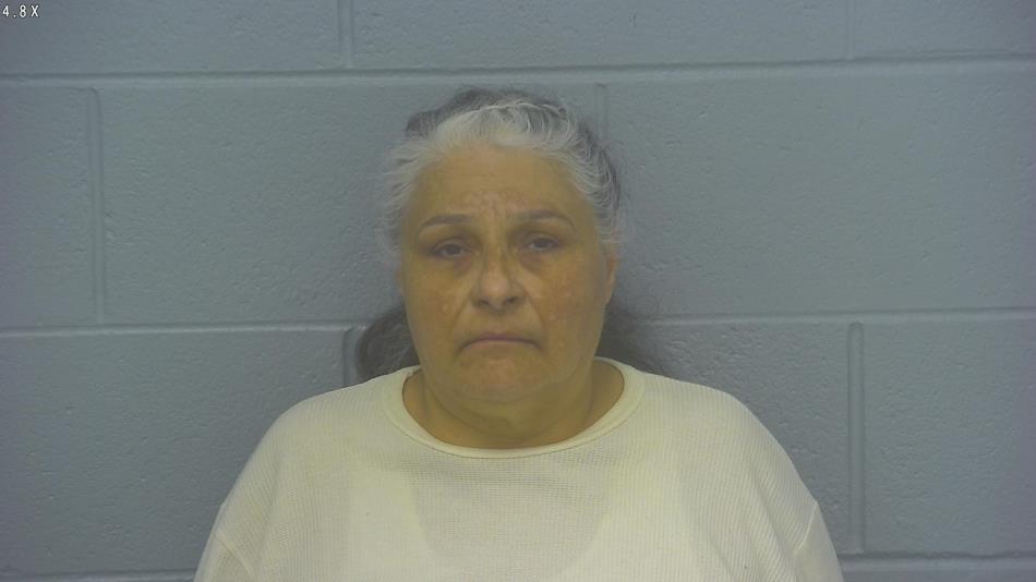 Arrest photo of ROSEMARY FLORES