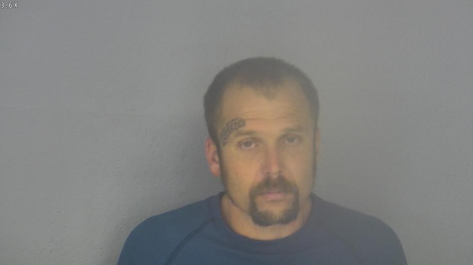 Arrest photo of ROY GOSS 