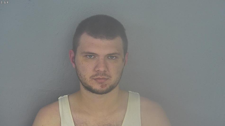 Arrest photo of RUSLAN DYOMIN