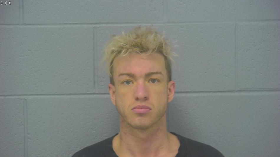 Arrest photo of RUSSELL HOGAN