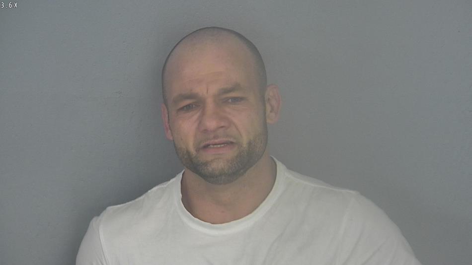 Arrest photo of RYAN MCVAUGH