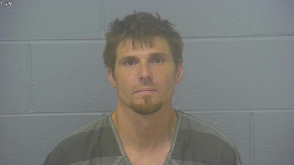 Arrest photo of RYAN HENRY