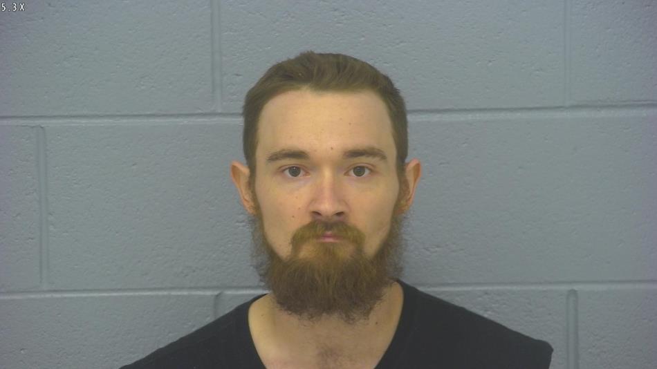 Arrest photo of RYAN NELSON
