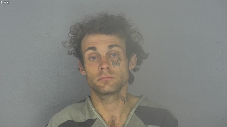 Arrest photo of RYAN WILCOX