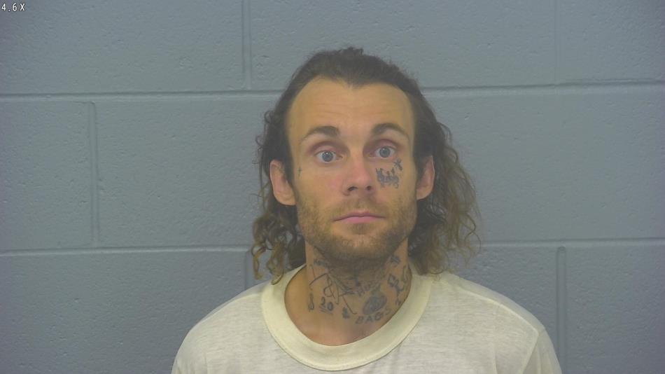 Arrest photo of RYAN WILCOX