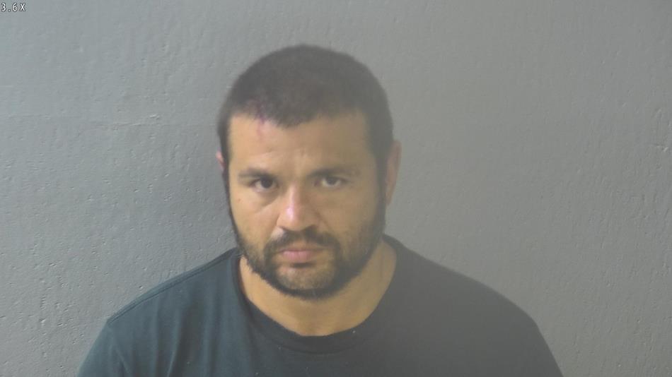 Arrest photo of RYAN COLLINS