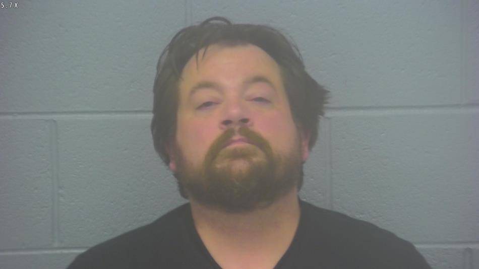 Arrest photo of RYAN LEDFORD