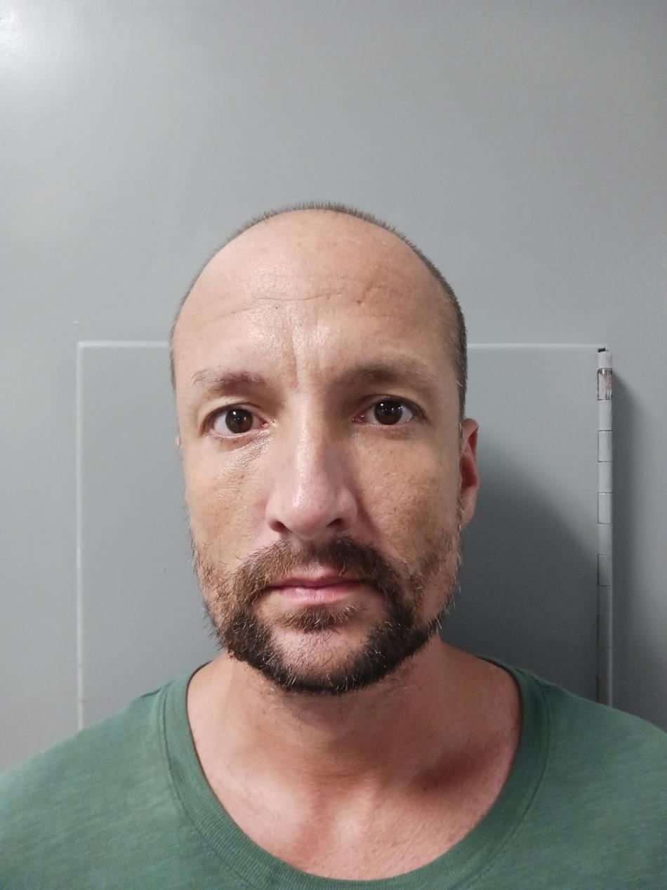 Arrest photo of RYAN JAMES