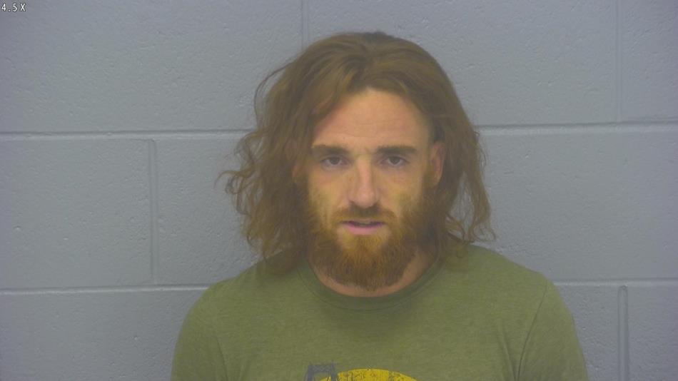 Arrest photo of RYAN CLARK