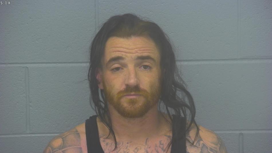 Arrest photo of RYAN CLARK