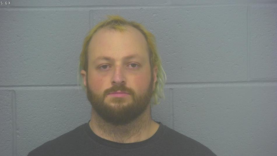 Arrest photo of RYAN SCHMIDT