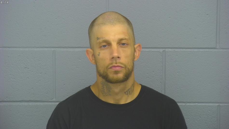 Arrest photo of RYAN ARNDT