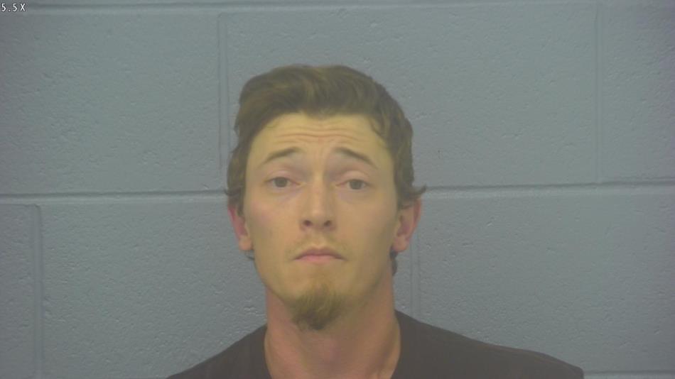 Arrest photo of RYAN MILLS