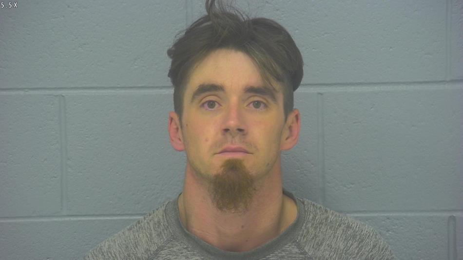 Arrest photo of RYAN COPELAND