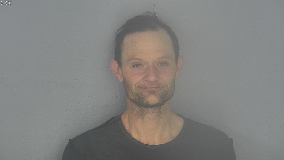 Arrest photo of RYAN HOUSTON