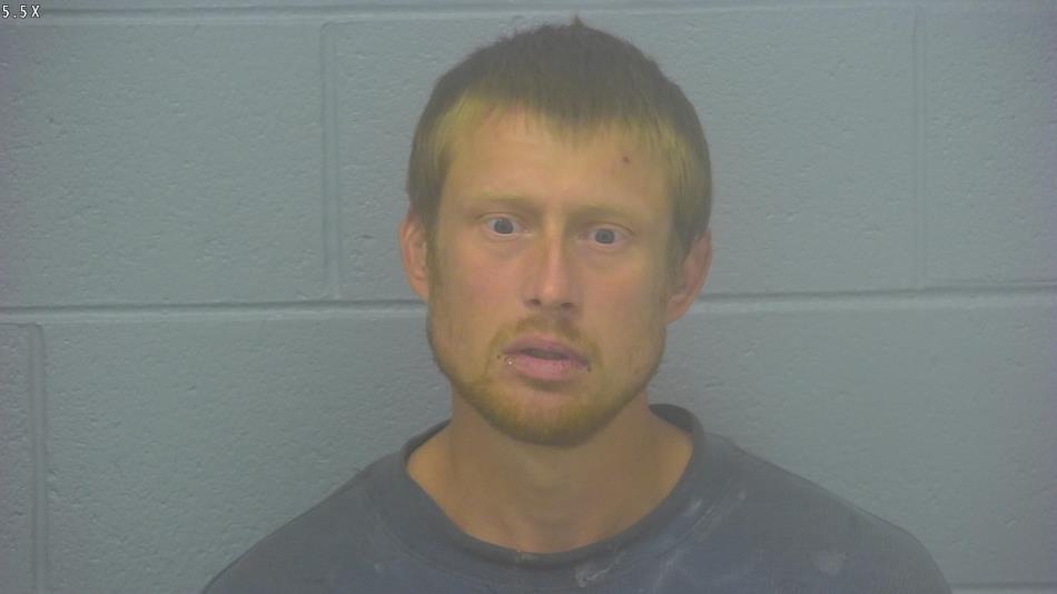 Arrest photo of RYAN LEVANG