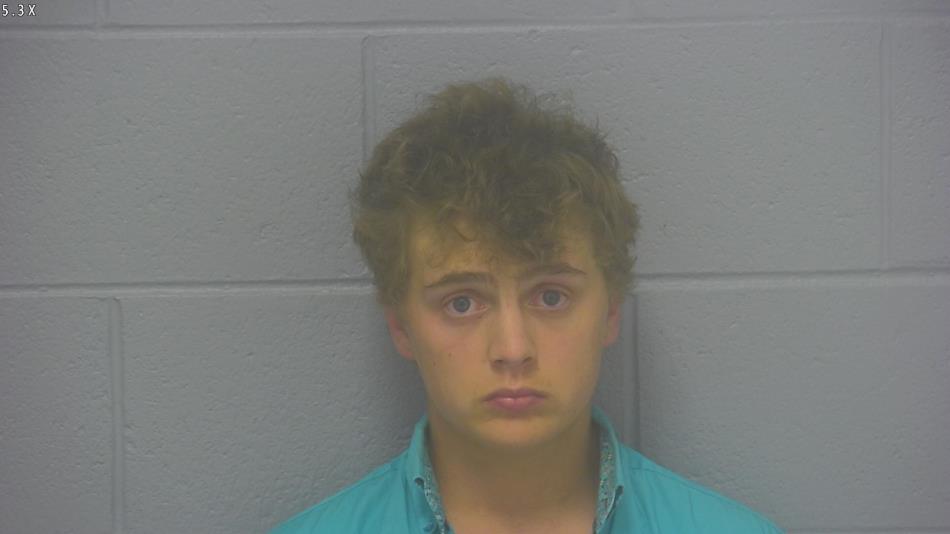 Arrest photo of RYAN BUDD