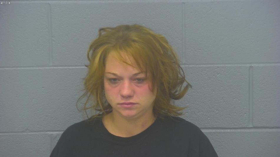 Arrest photo of SABRINA WINCHEL