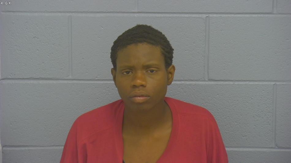 Arrest photo of SADE CASTO