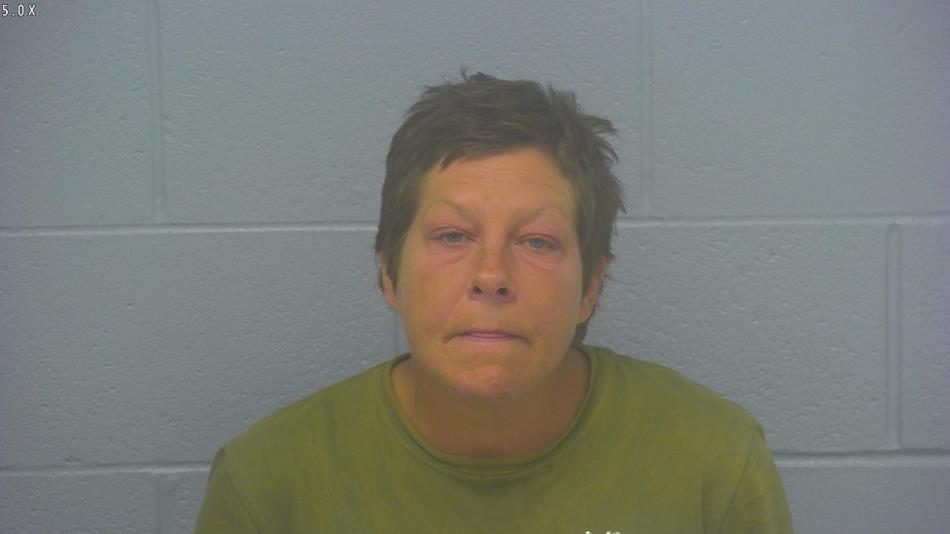 Arrest photo of SALLY FLATH