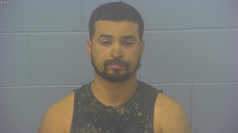 Arrest photo of SALVADOR MARTINEZ