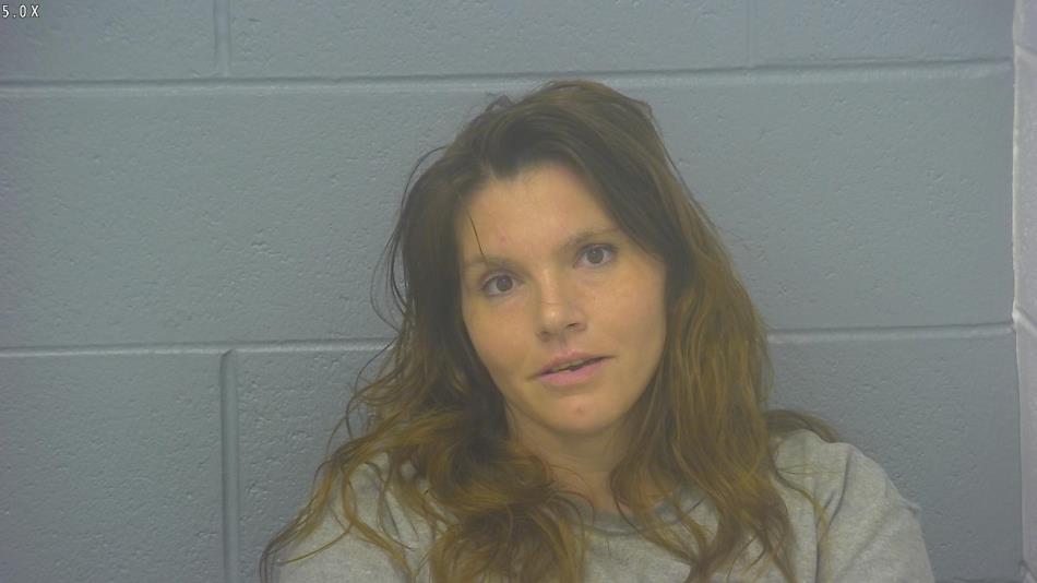 Arrest photo of SAMANTHA WALLACE