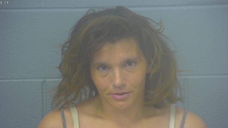 Arrest photo of SAMANTHA WALLACE