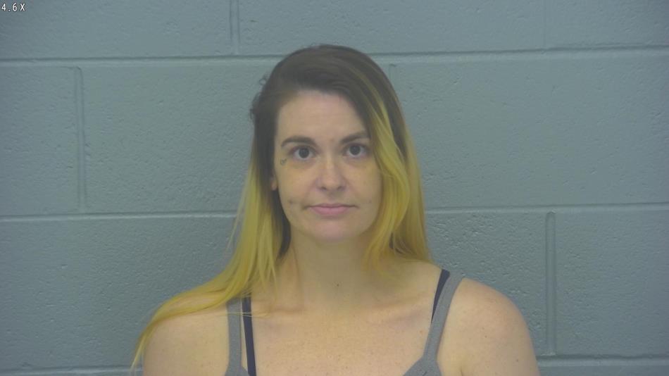 Arrest photo of SAMANTHA HOLMES