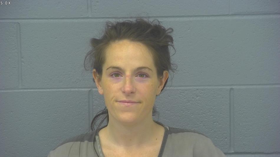 Arrest photo of SAMANTHA THIEME