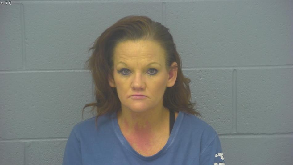 Arrest photo of SANDRA LEE