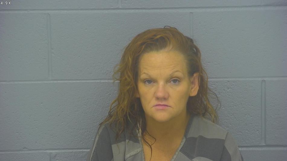 Arrest photo of SANDRA LEE