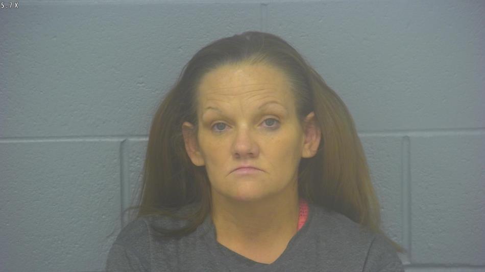 Arrest photo of SANDRA LEE