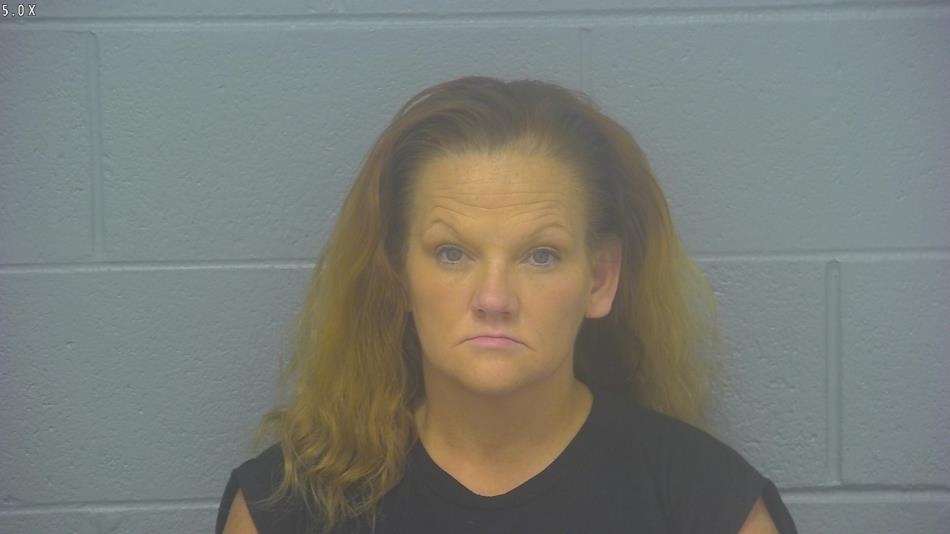Arrest photo of SANDRA LEE