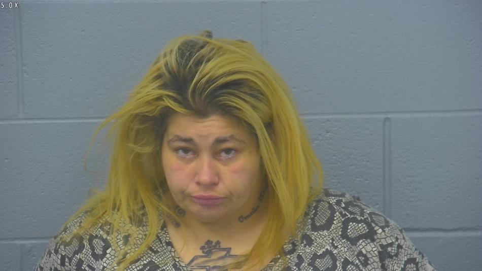 Arrest photo of SANDRA KATES