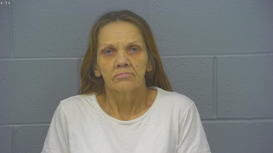 Arrest photo of SANDRA ANDERSON