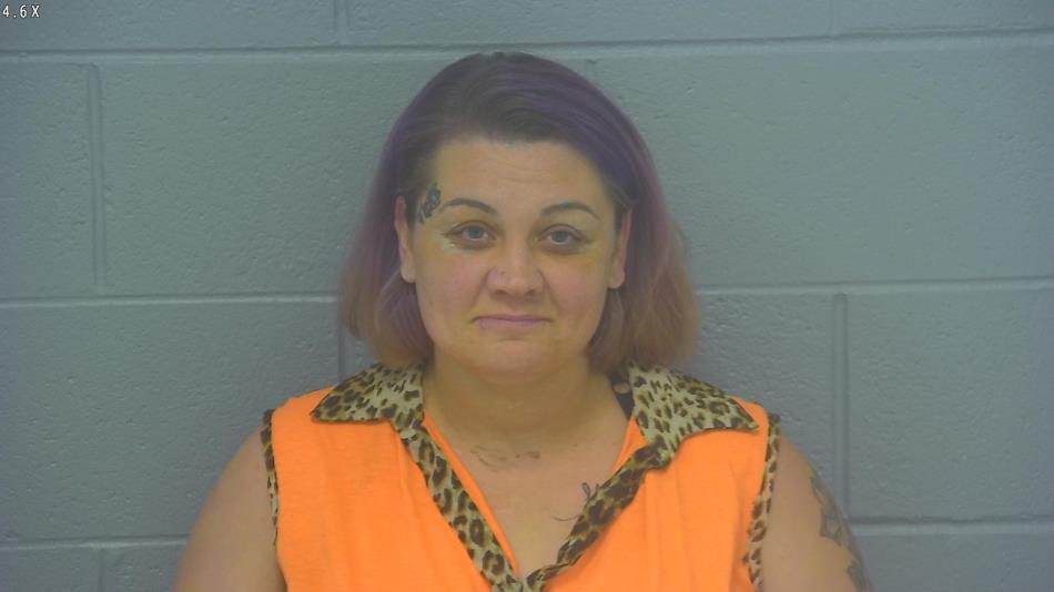 Arrest photo of SANDRA  INLOW