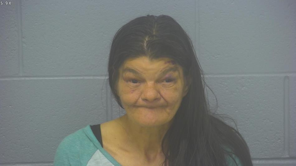 Arrest photo of SANDRA ANDERSON